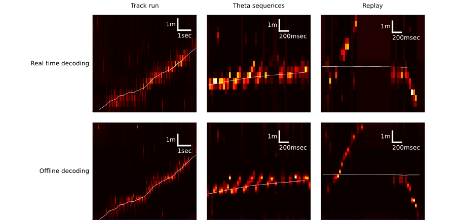 Head-to-Head Decoding